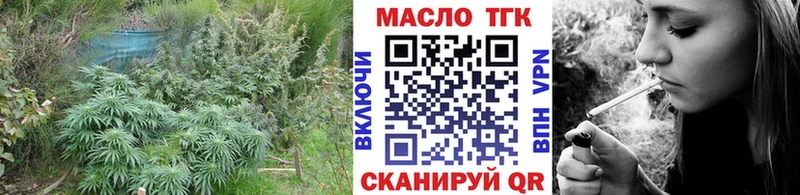 ТГК Wax  Нальчик 