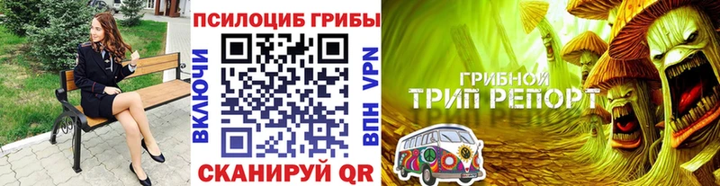 Галлюциногенные грибы прущие грибы  shop состав  Нальчик 